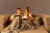 DSC02517 - 582x388.png